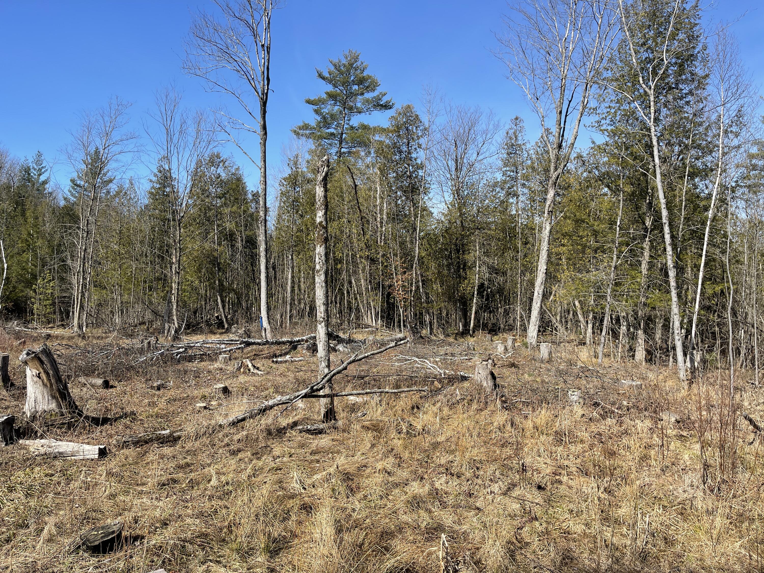 V/l North Lakola Road Leroy, MI 49655 - Photo 3 of 16 IMG_9049