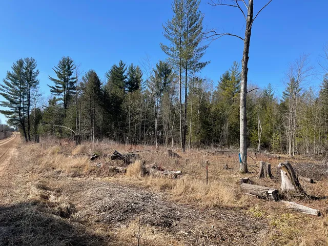 $60,000 | V/l North Lakola Road, Leroy, MI 49655