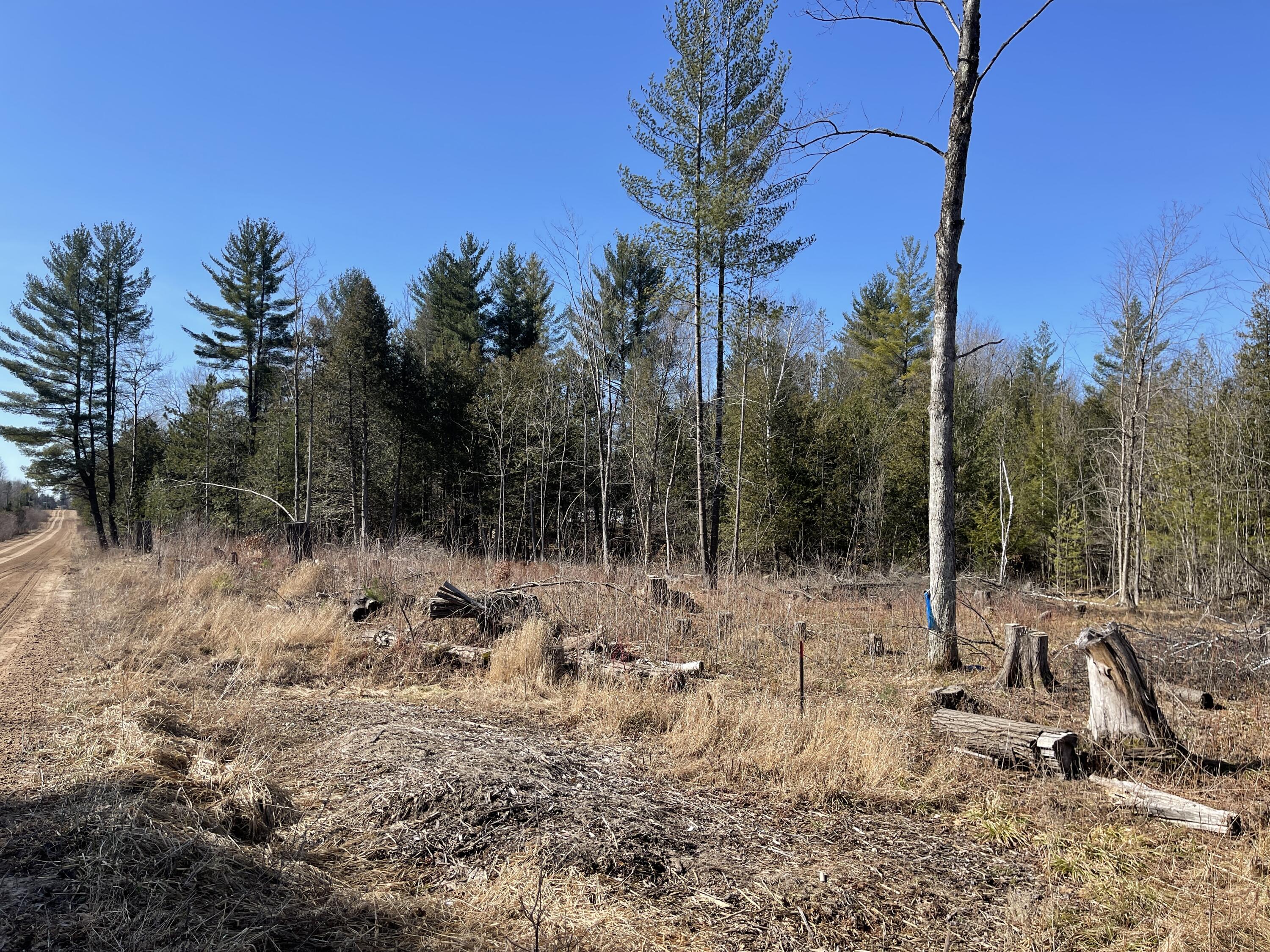 V/l North Lakola Road Leroy, MI 49655 - Photo 4 of 16 IMG_9050