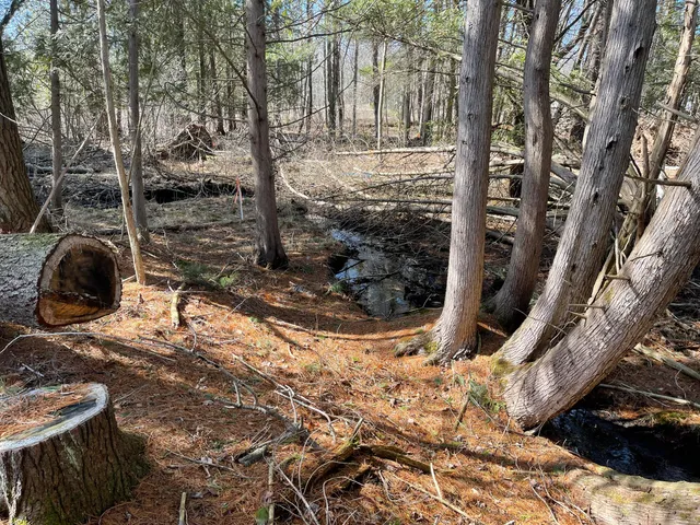 $60,000 | V/l North Lakola Road, Leroy, MI 49655