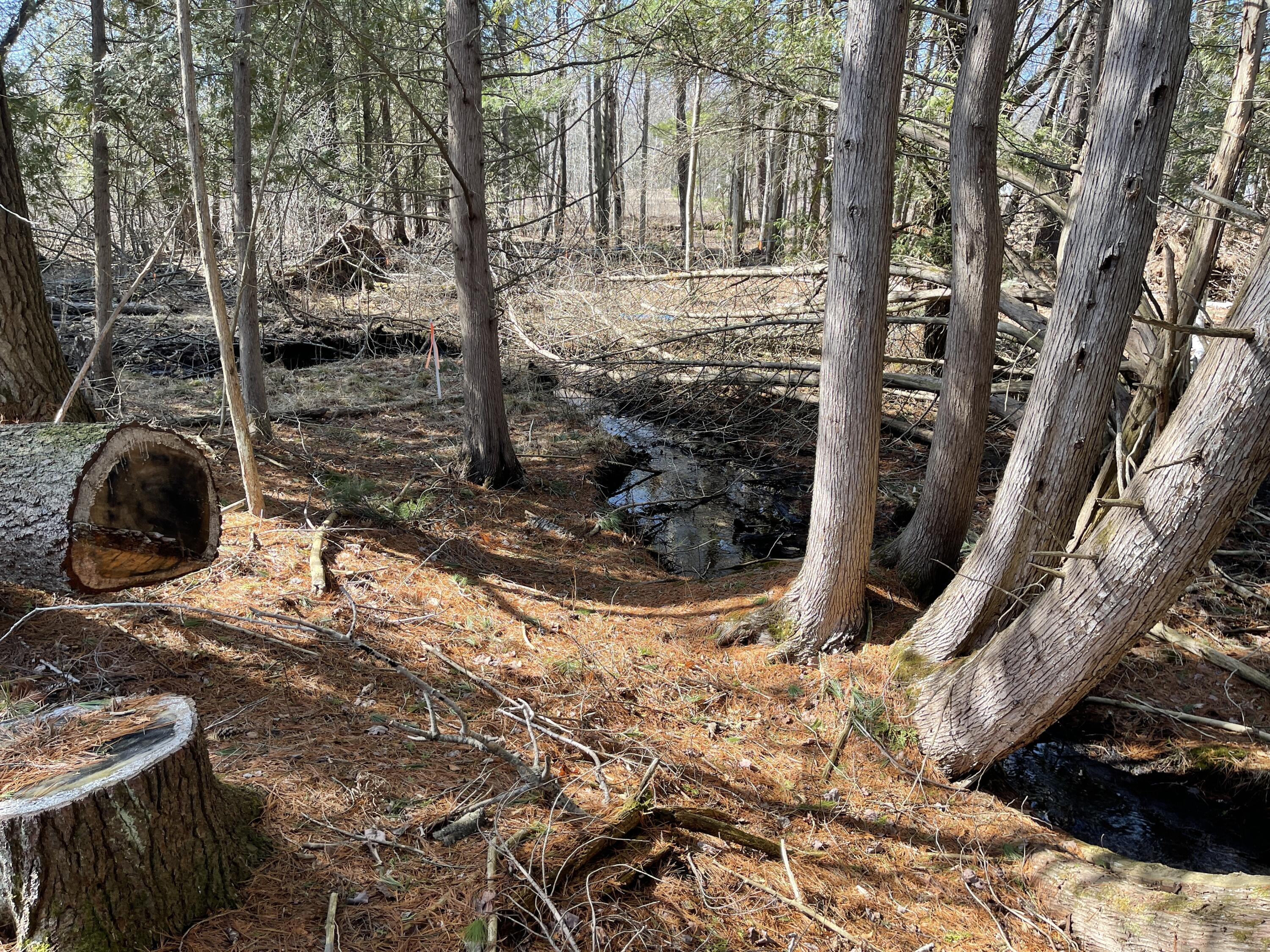 V/l North Lakola Road Leroy, MI 49655 - Photo 6 of 16 IMG_9052