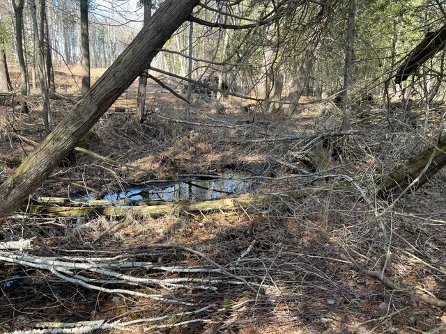 $60,000 | V/l North Lakola Road, Leroy, MI 49655