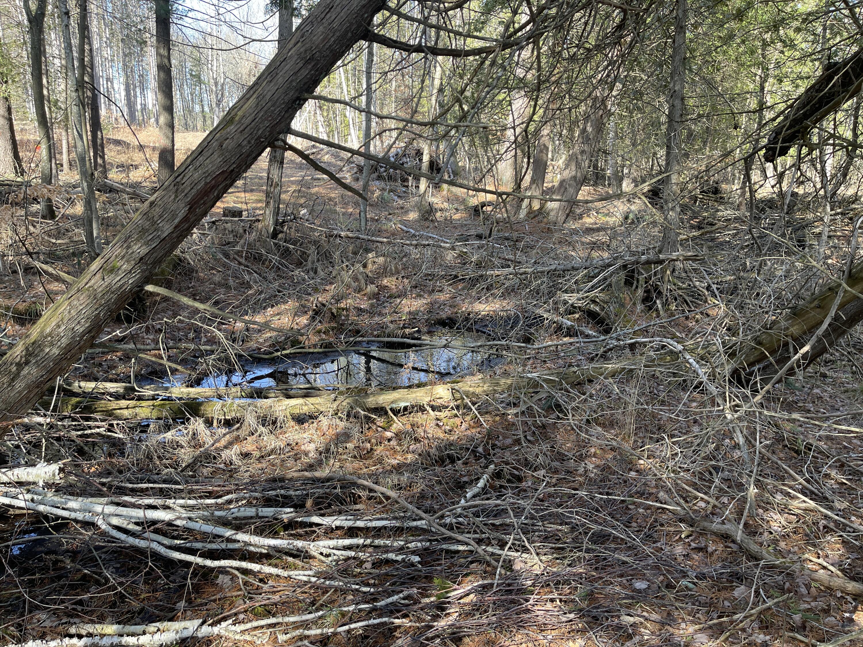 V/l North Lakola Road Leroy, MI 49655 - Photo 7 of 16 IMG_9053