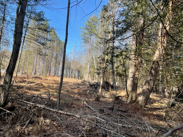 $60,000 | V/l North Lakola Road, Leroy, MI 49655