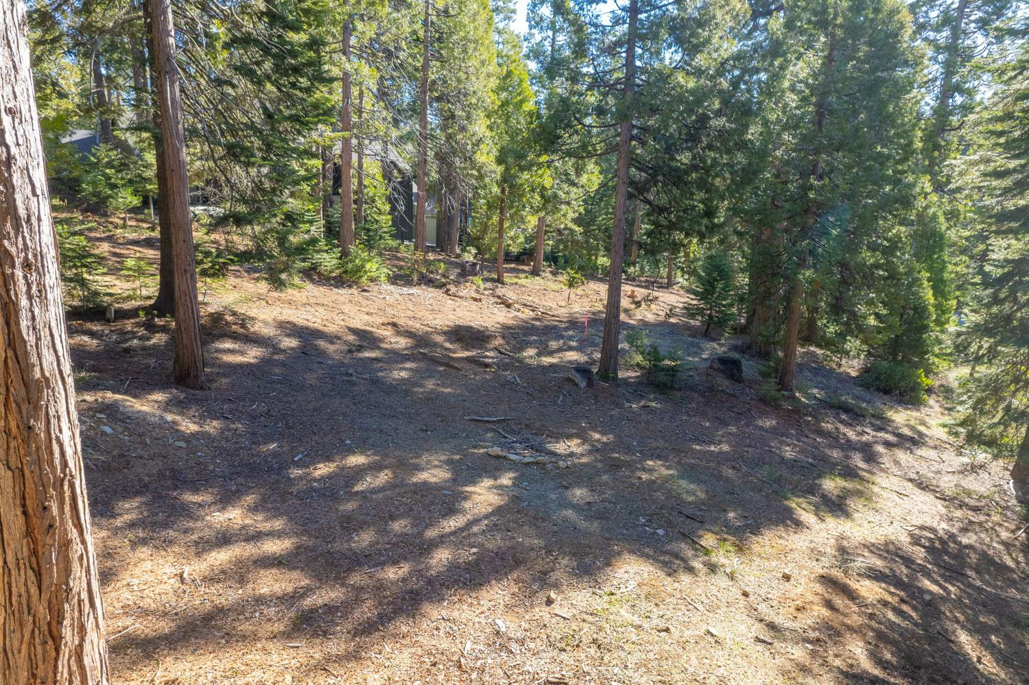 41876 Timber View Lane Shaver Lake, CA 93664 - Photo 12 of 85 a view of a yard with trees