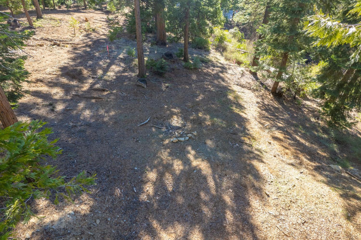 41876 Timber View Lane Shaver Lake, CA 93664 - Photo 13 of 85