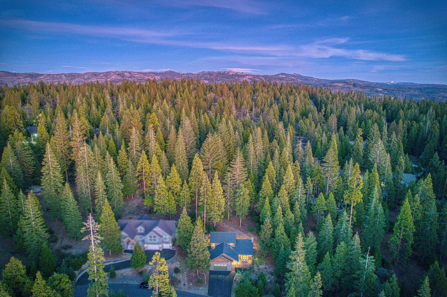 41876 Timber View Lane Shaver Lake, CA 93664 - Photo 74 of 85 a view of a city with lush green forest
