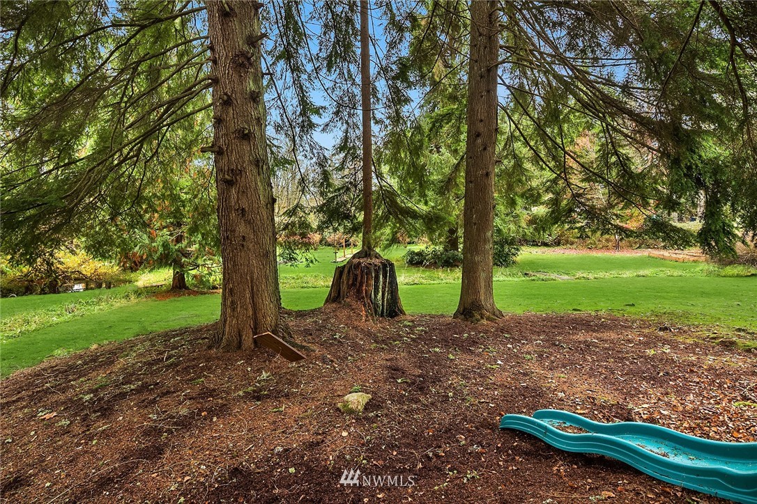 13423 Odell Road Northeast Duvall, WA 98019 - Photo 27 of 36 Gallery Image 27