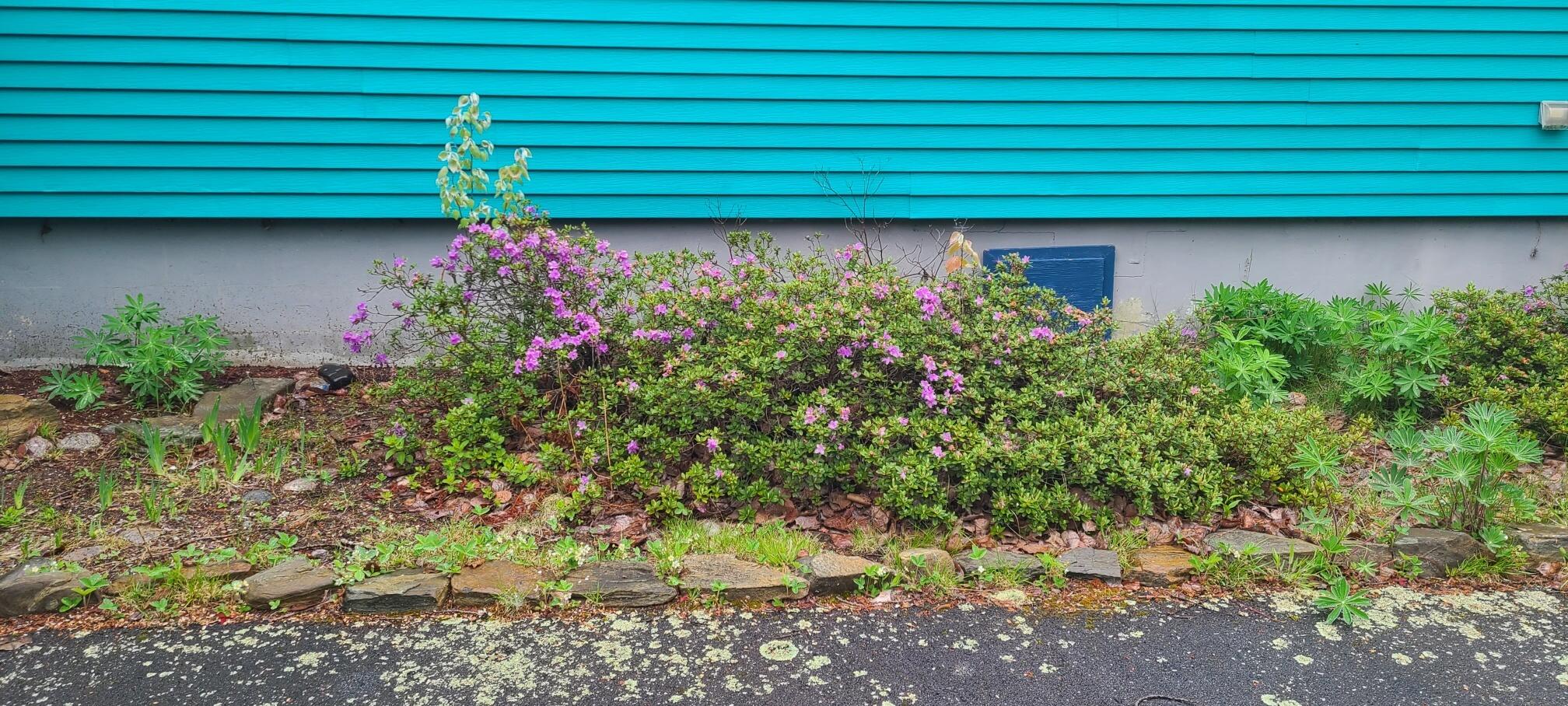 336 Rays Point Road Milbridge, ME 04658 - Photo 6 of 46