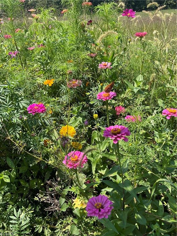 553 Trinity Church Road King, NC 27021 - Photo 29 of 29