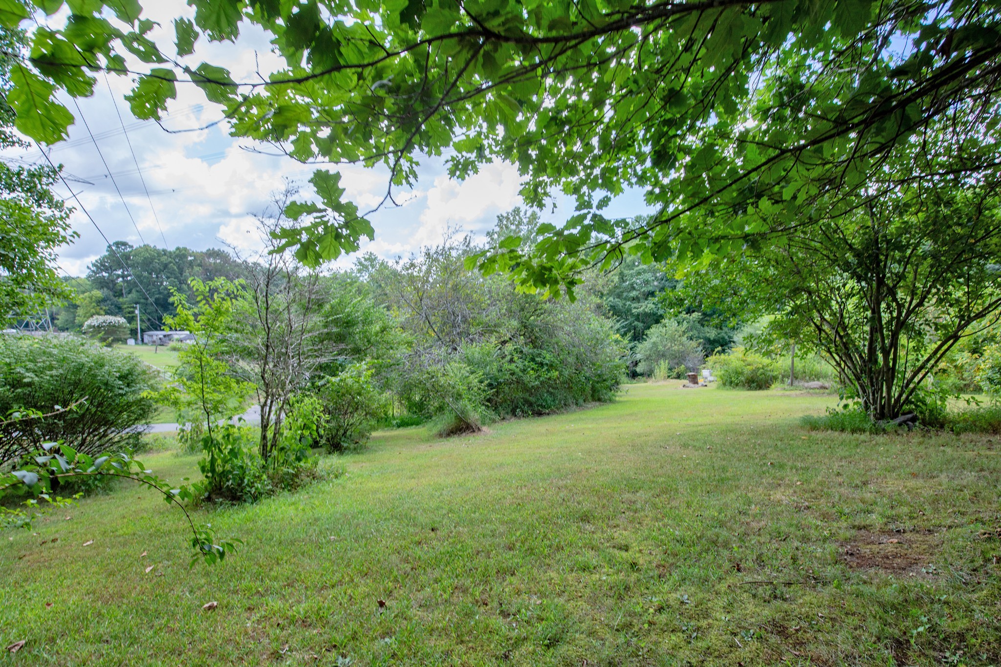 7498 Swift Road Greenbrier, TN 37073 - Photo 11 of 69 a view of a big yard with large trees