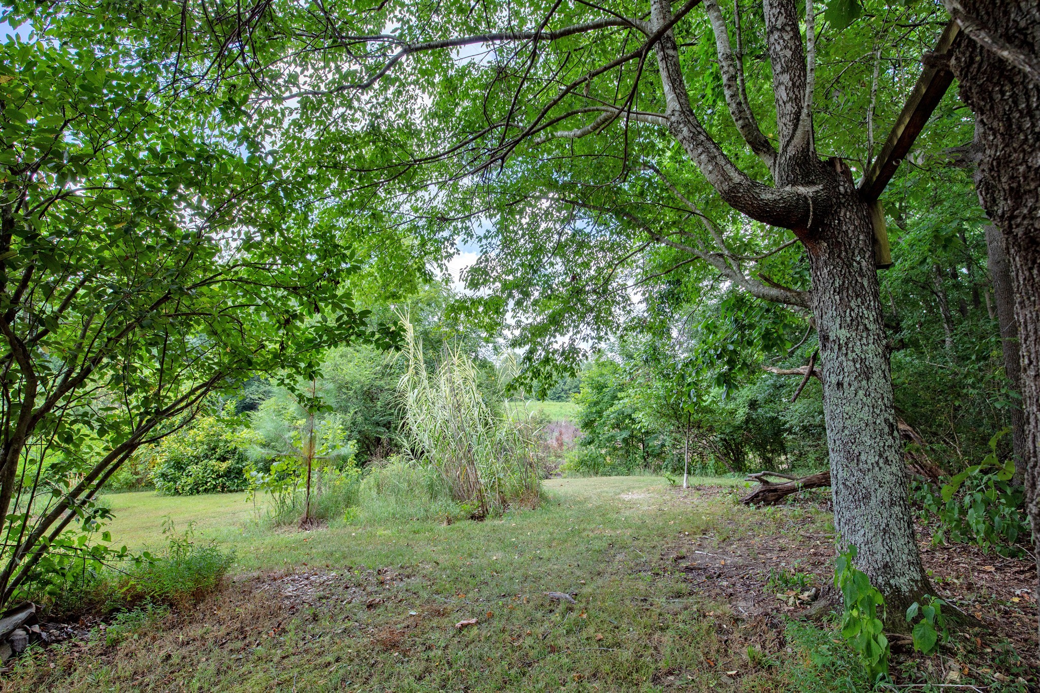 7498 Swift Road Greenbrier, TN 37073 - Photo 12 of 69