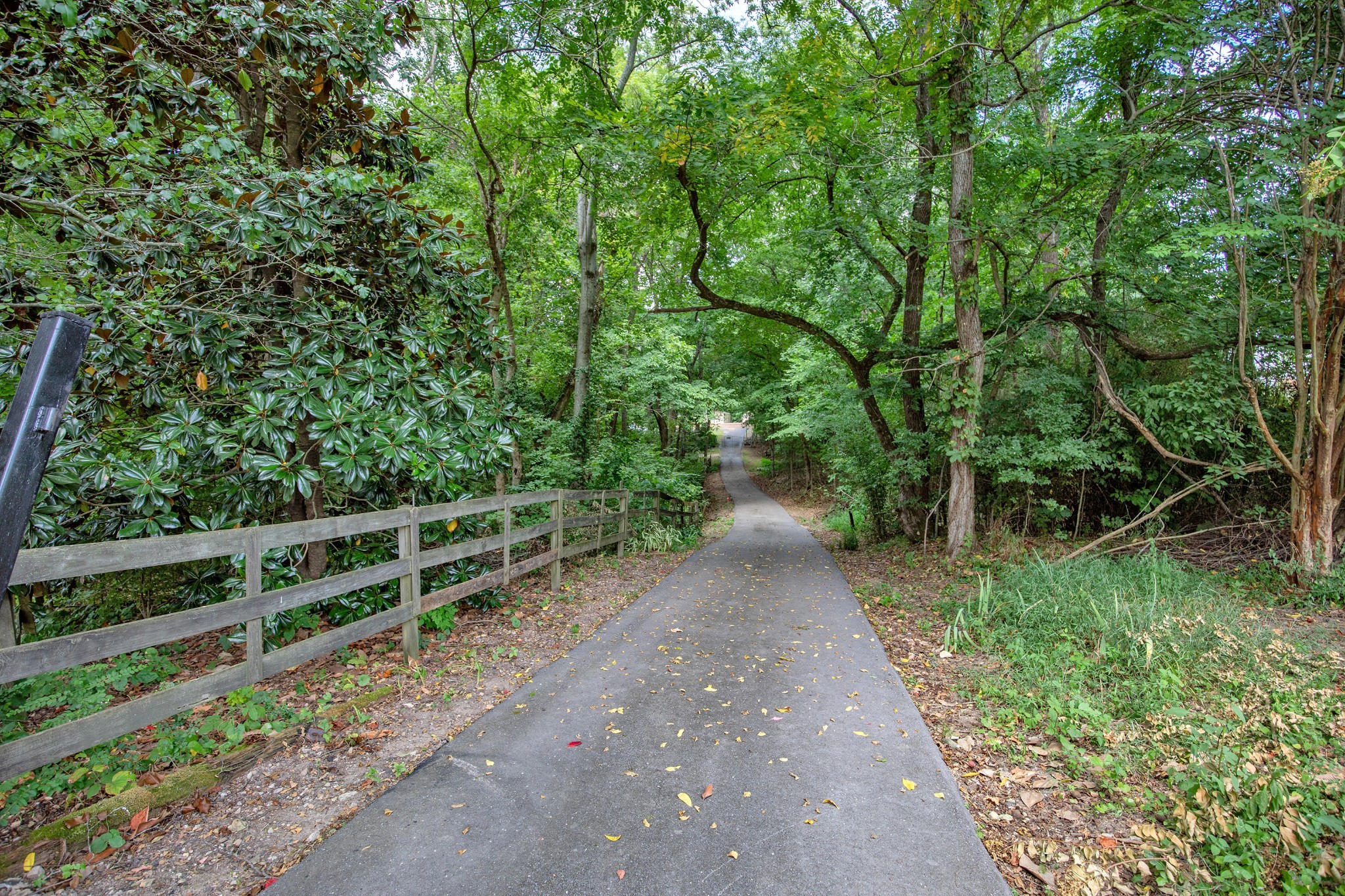 7498 Swift Road Greenbrier, TN 37073 - Photo 3 of 69 a backyard of a house with lots of green space