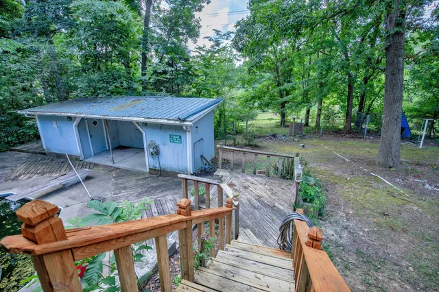 a view of backyard with potted plants and large tree