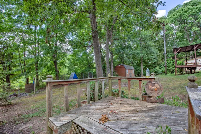a backyard of a house with a trees and plants