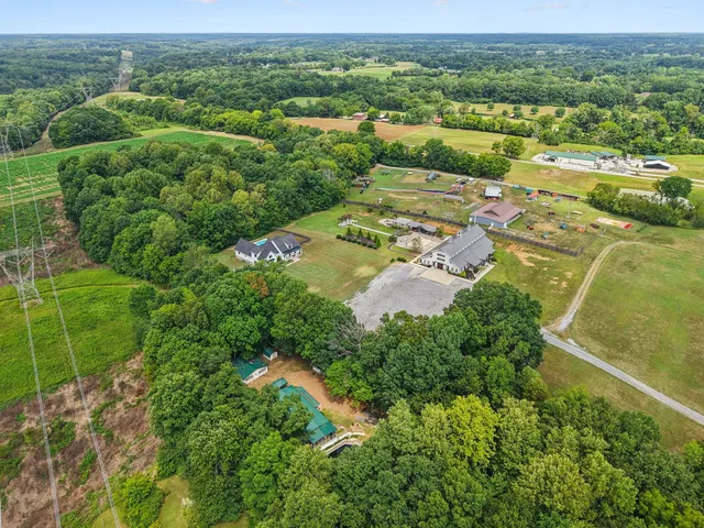 an aerial view of residential houses with outdoor space and trees