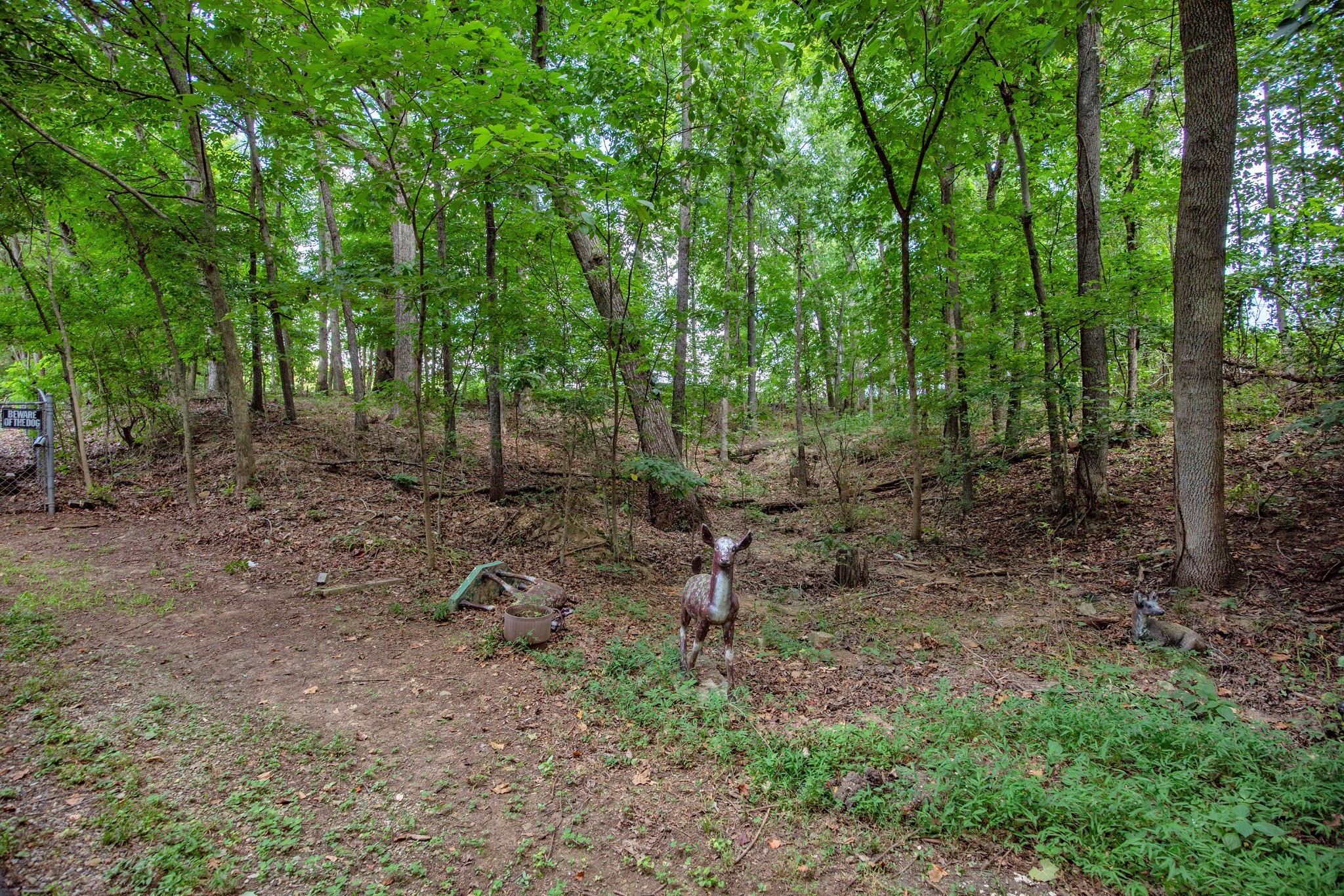 7498 Swift Road Greenbrier, TN 37073 - Photo 9 of 69 a backyard of a house with lots of green space and chair