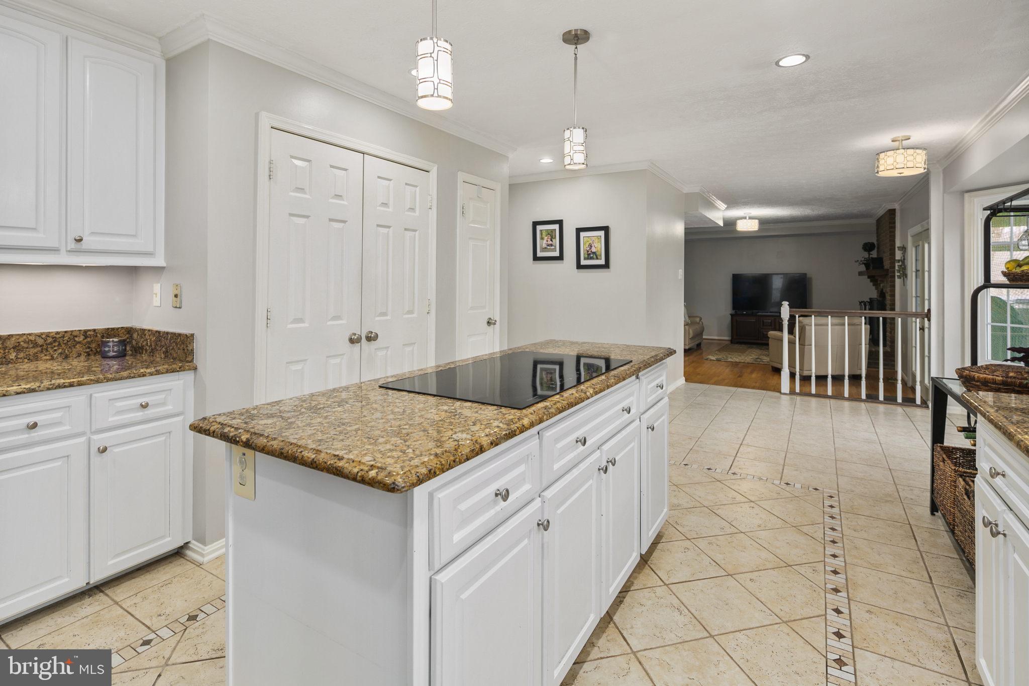 1034 Riva Ridge Drive Great Falls, VA 22066 - Photo 9 of 40