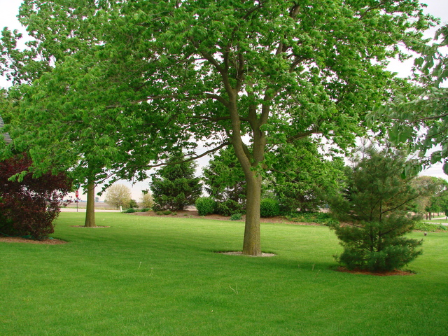9-s072 Mighell Road Sugar Grove, IL 60554 - Photo 5 of 25