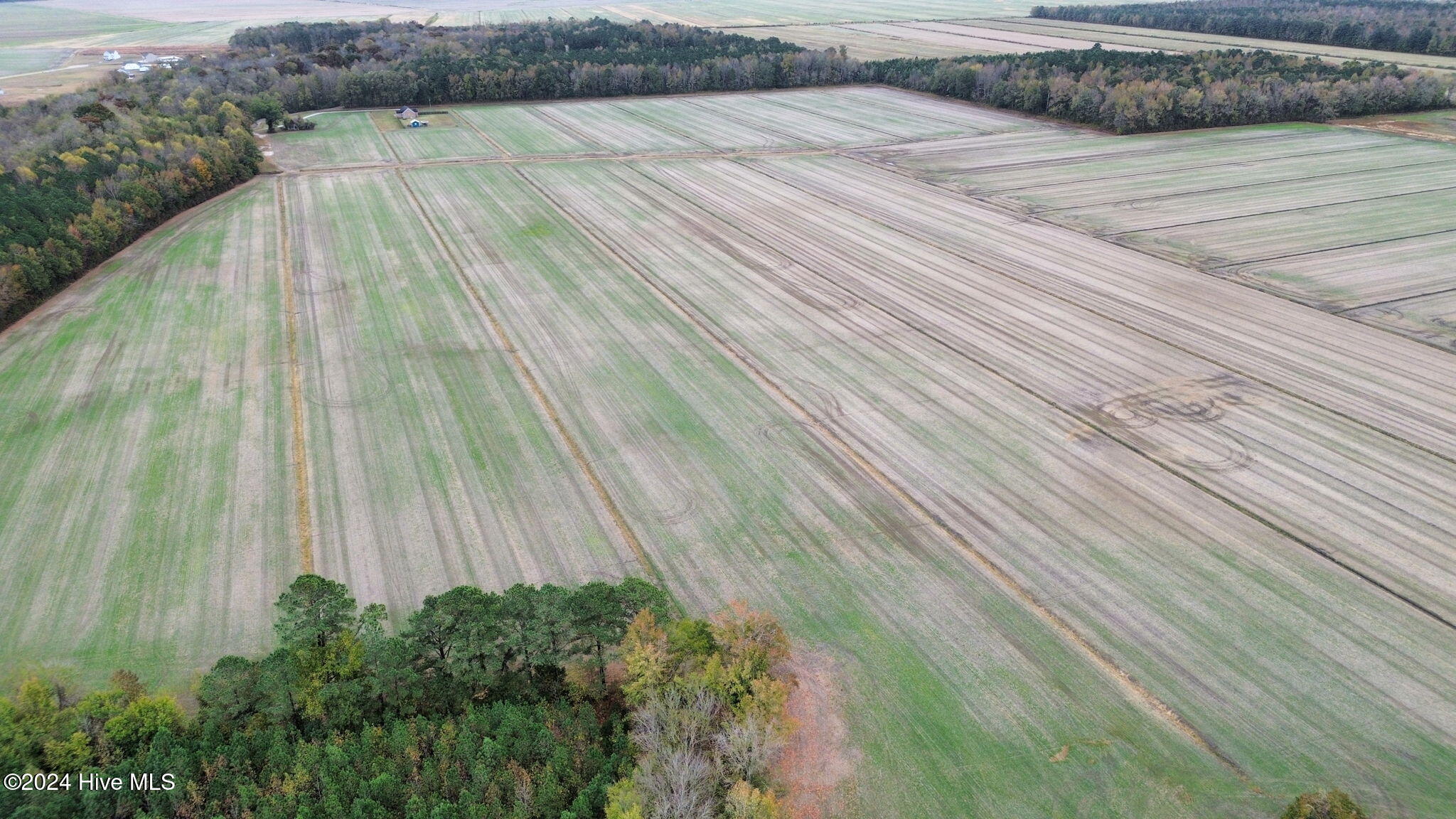Tbd Millpond Road Elizabeth City, NC 27909 - Photo 1 of 6 1-web-or-mls-dji_fly_20241116_005954_99_