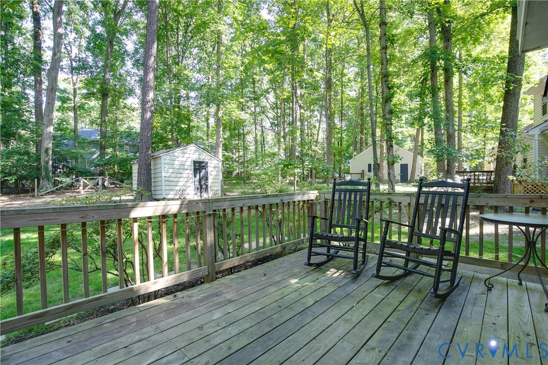 14712 Mill Spring Drive Midlothian, VA 23112 - Photo 44 of 49