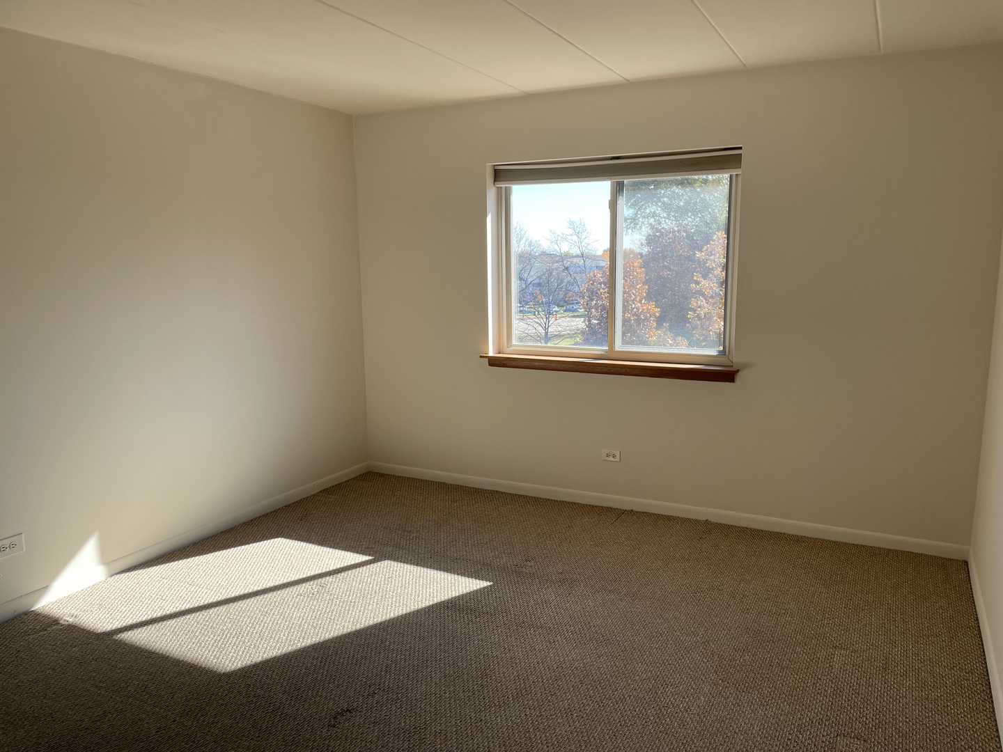 300 South Roselle Road, Unit 415 Schaumburg, IL 60193 - Photo 13 of 18 an empty room with a window