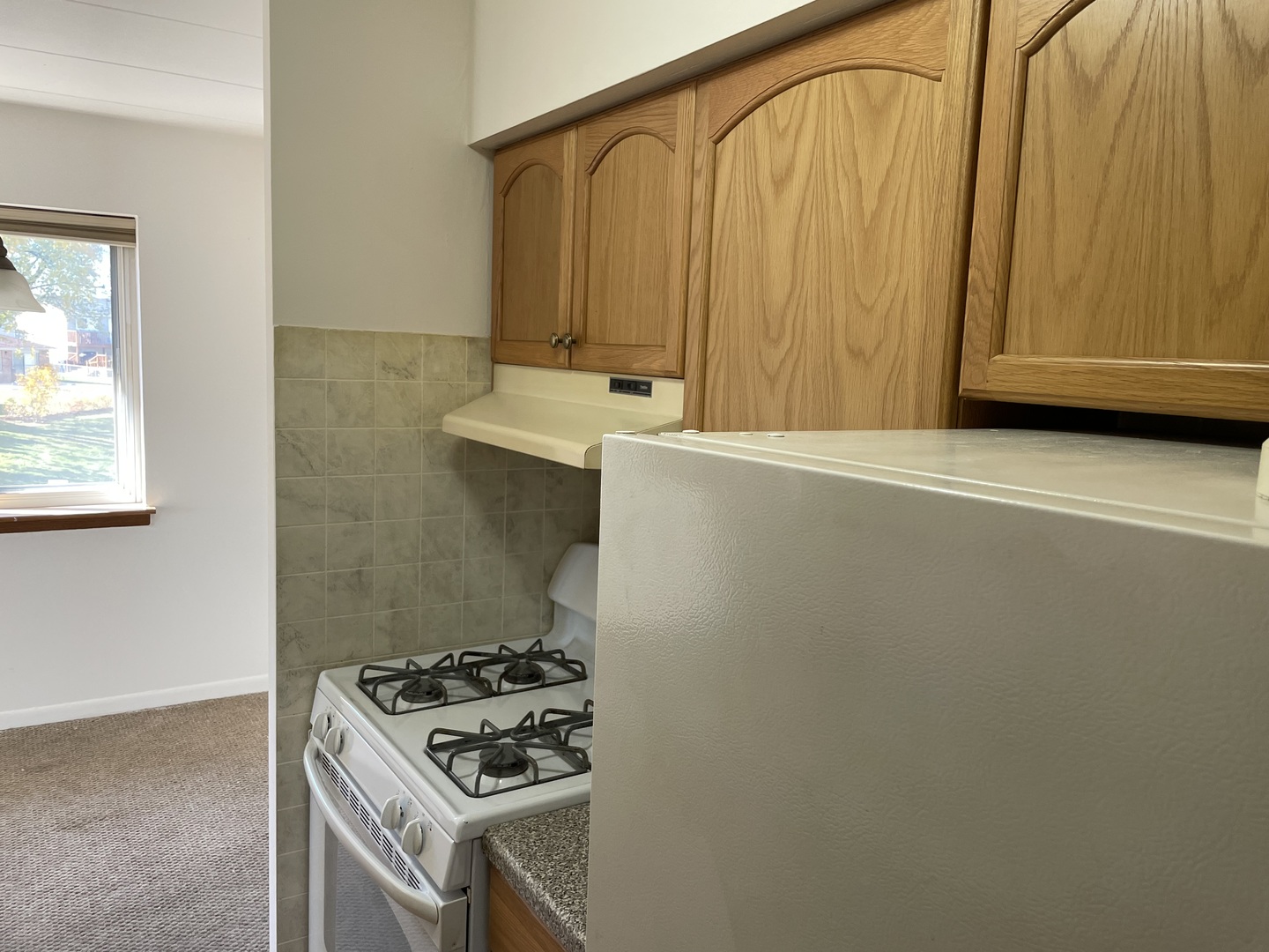 300 South Roselle Road, Unit 415 Schaumburg, IL 60193 - Photo 3 of 18 a bathroom with a sink and a mirror