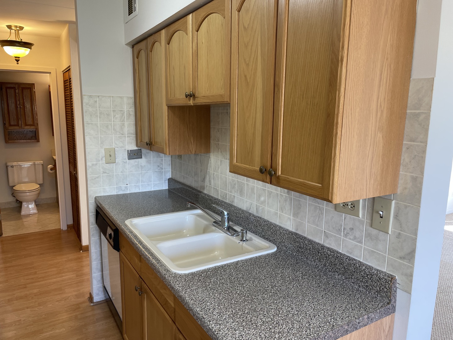 300 South Roselle Road, Unit 415 Schaumburg, IL 60193 - Photo 6 of 18 a bathroom with a sink and a mirror