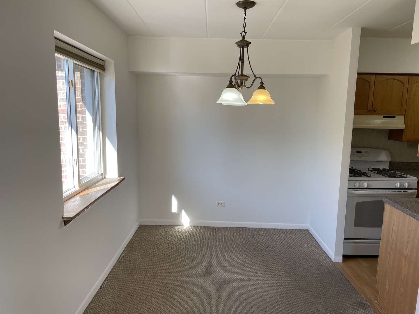 300 South Roselle Road, Unit 415 Schaumburg, IL 60193 - Photo 9 of 18 a kitchen with a window a stove and a window