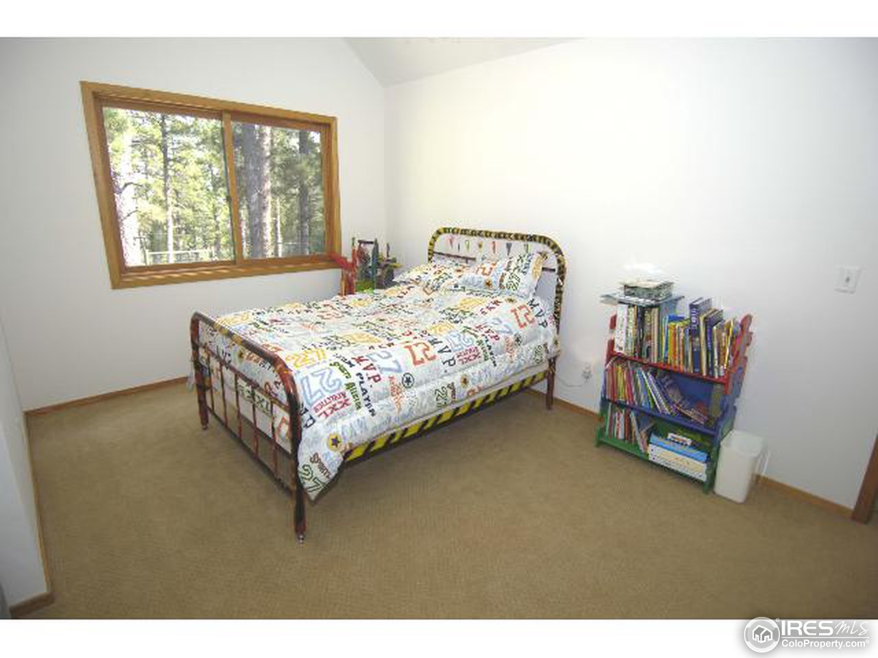 552 Porter Ranch Road Nederland, CO 80466 - Photo 15 of 18 Gallery Image 15