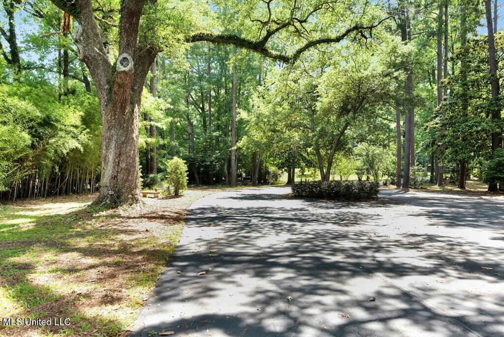 551 John R Junkin Drive Natchez, MS 39120 - Photo 63 of 67 20240346_62