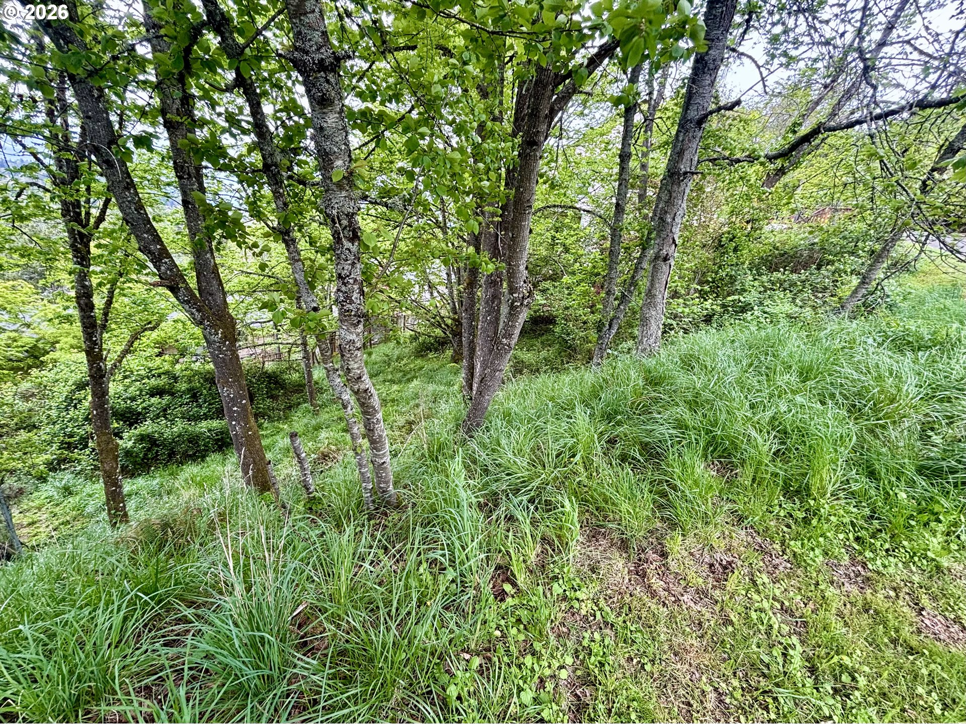 University Street Eugene, OR 97405 - Photo 3 of 6