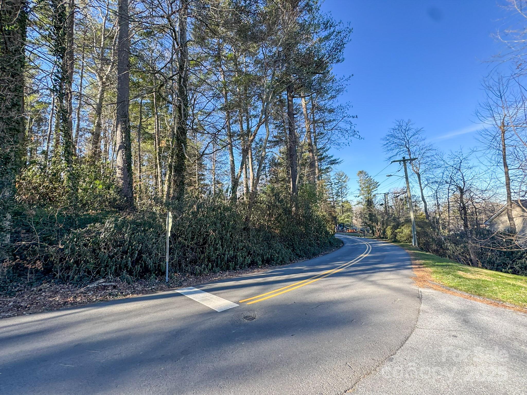 Lot 7 Balsam Road Hendersonville, NC 28792 - Photo 11 of 20