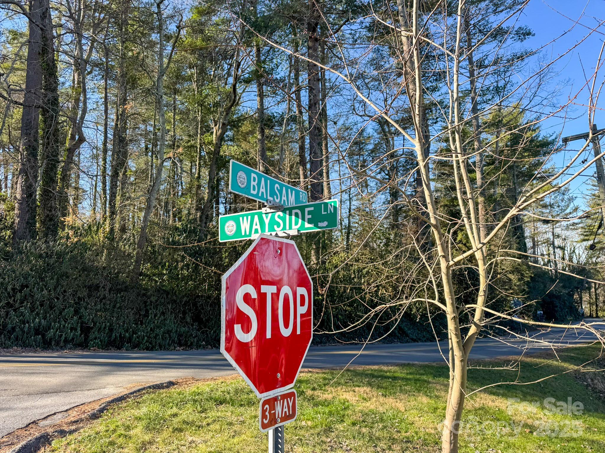 Lot 7 Balsam Road Hendersonville, NC 28792 - Photo 12 of 20