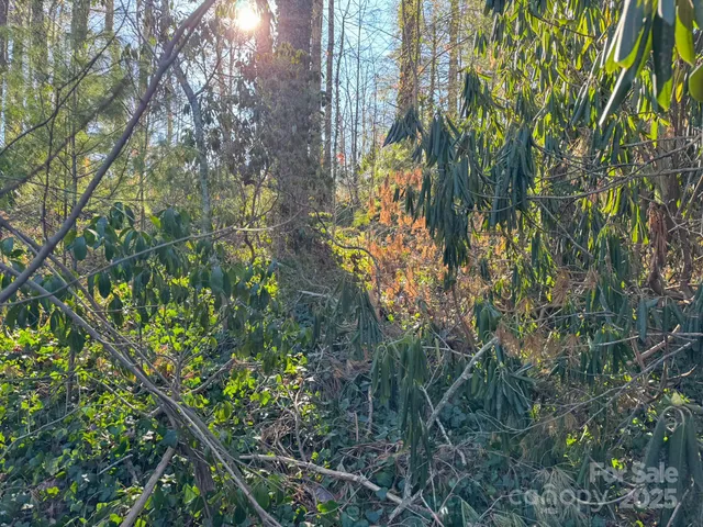$74,000 | Lot 7 Balsam Road, Hendersonville, NC 28792