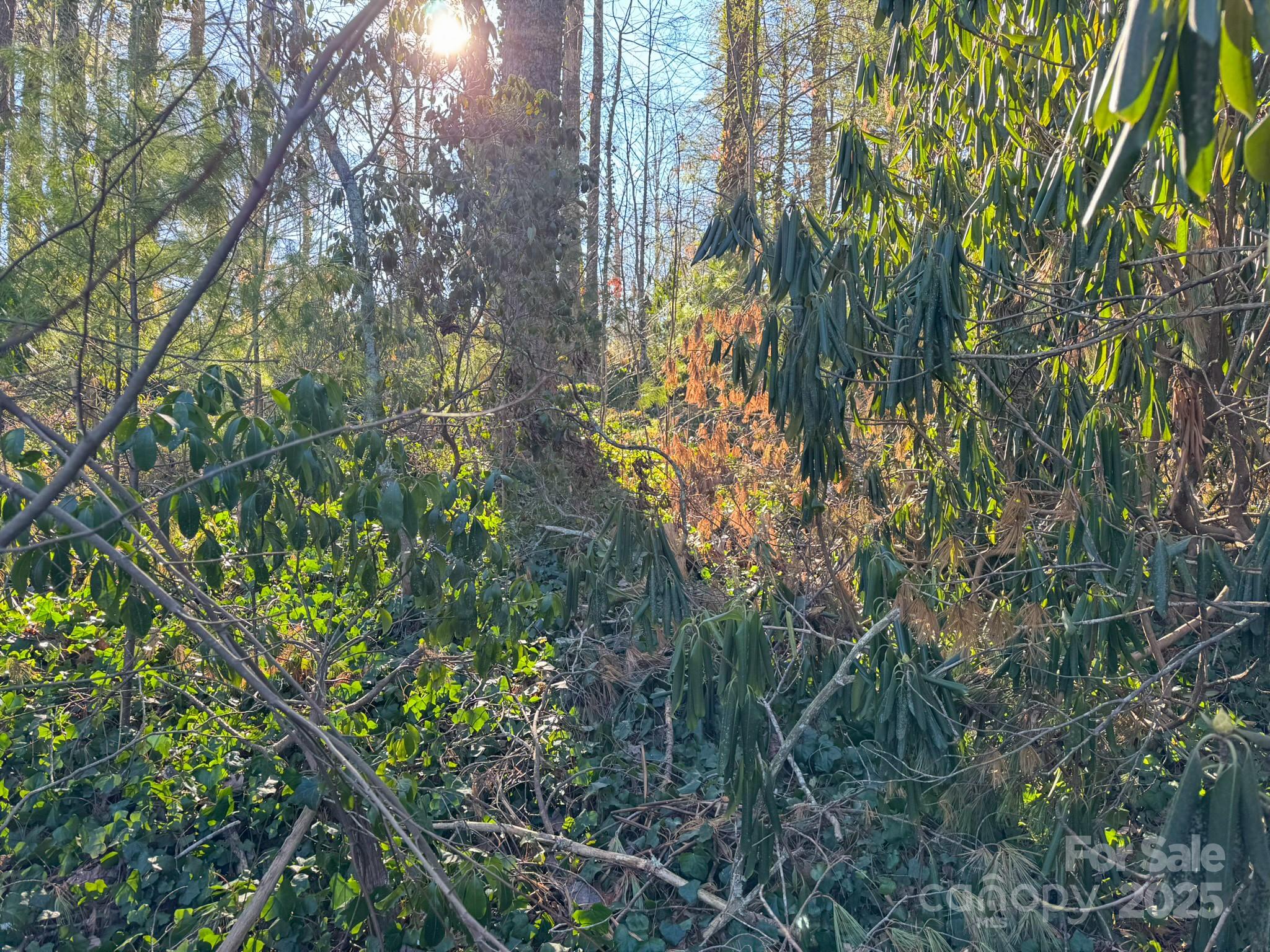 Lot 7 Balsam Road Hendersonville, NC 28792 - Photo 13 of 20