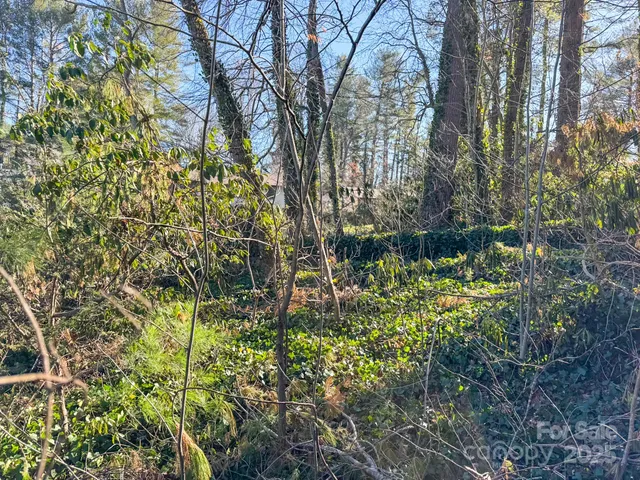 $74,000 | Lot 7 Balsam Road, Hendersonville, NC 28792