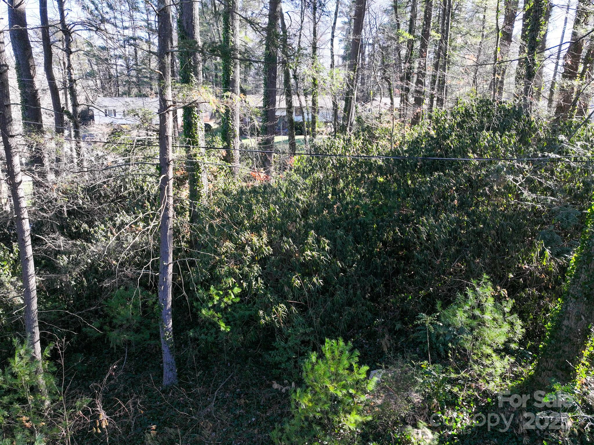 Lot 7 Balsam Road Hendersonville, NC 28792 - Photo 15 of 20