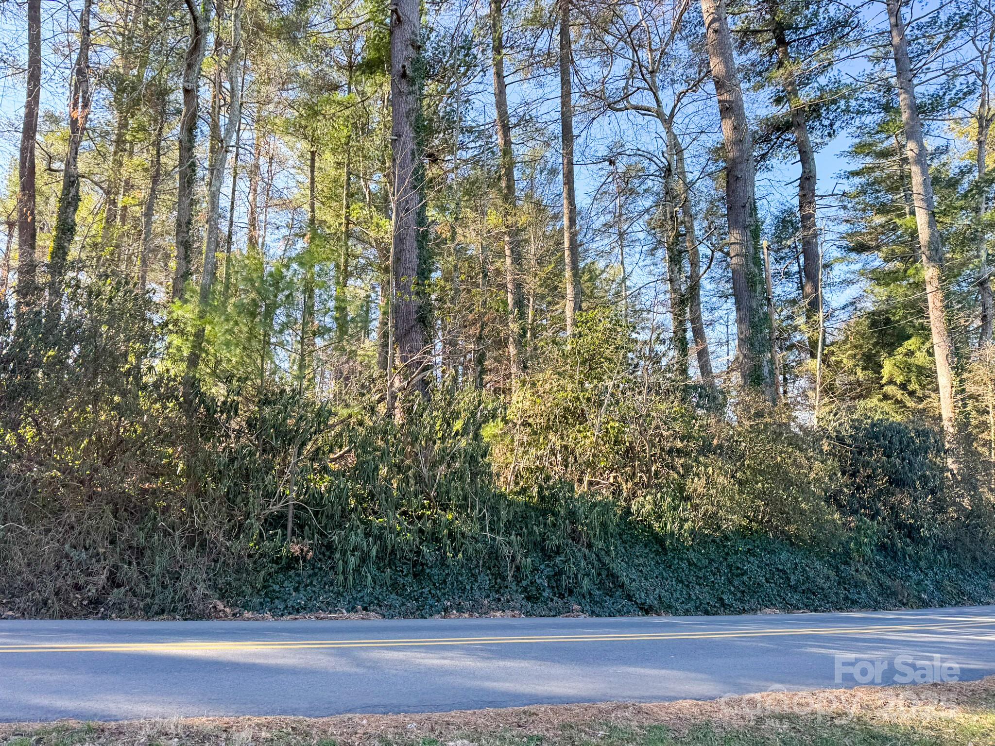 Lot 7 Balsam Road Hendersonville, NC 28792 - Photo 9 of 20