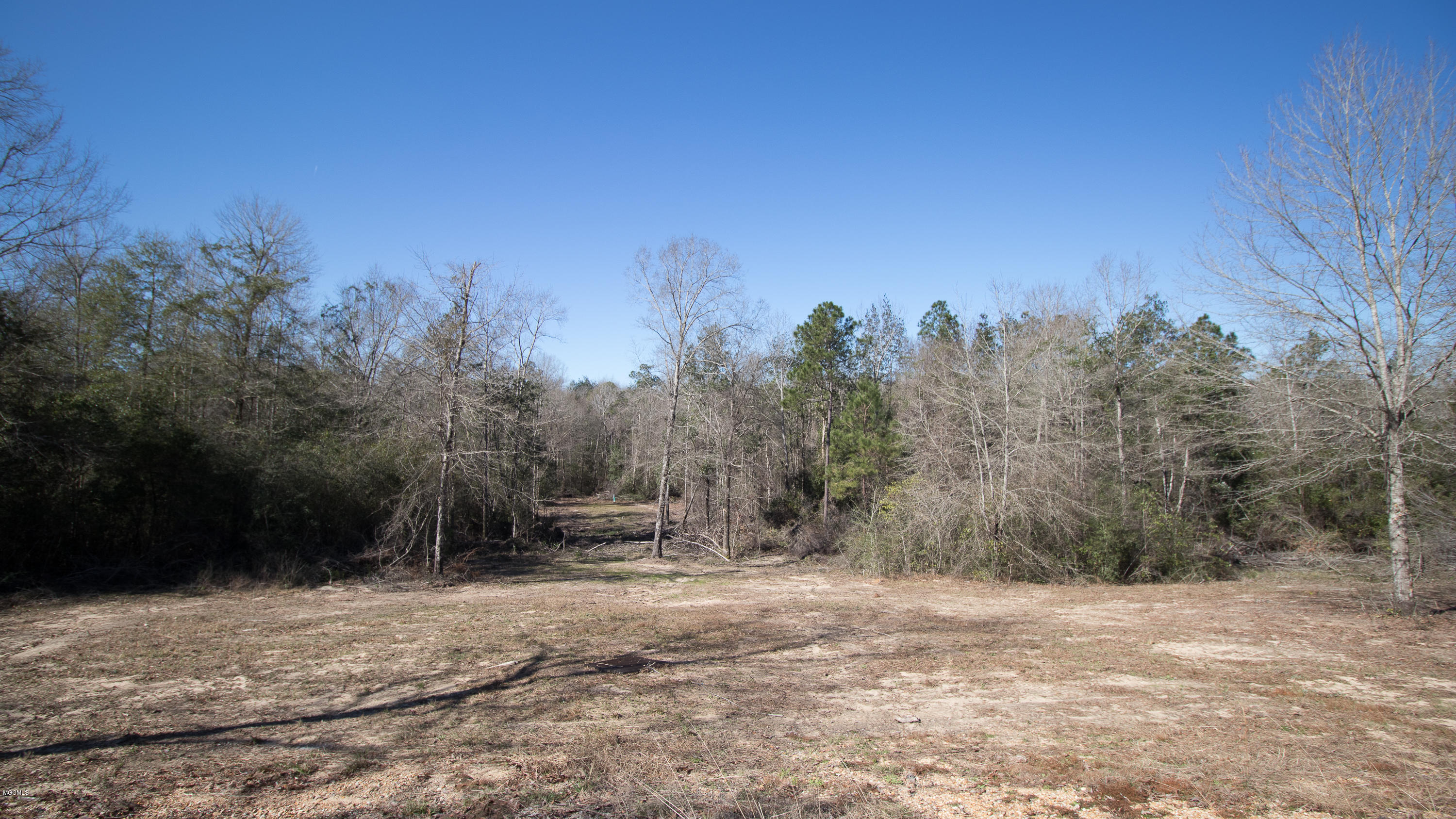 79 Quail Ridge Lane McHenry, MS 39561 - Photo 9 of 14 Back Yard