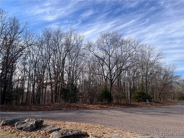 $84,500 | 2-3 South Buck Creek Road, Gravois Mills, MO 65037