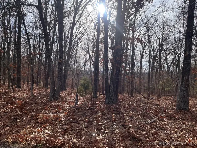 $84,500 | 2-3 South Buck Creek Road, Gravois Mills, MO 65037