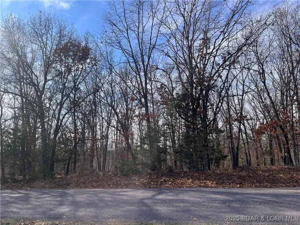 $84,500 | 2-3 South Buck Creek Road, Gravois Mills, MO 65037