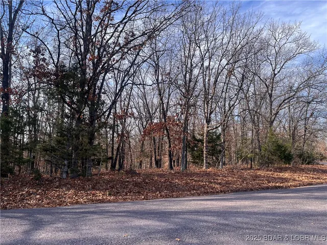 $84,500 | 2-3 South Buck Creek Road, Gravois Mills, MO 65037