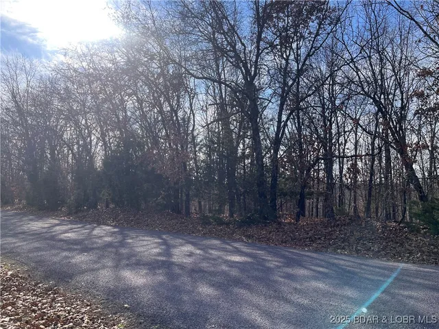$84,500 | 2-3 South Buck Creek Road, Gravois Mills, MO 65037