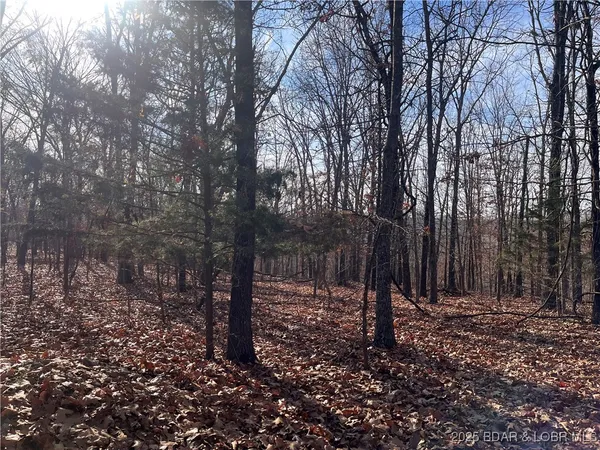 $84,500 | 2-3 South Buck Creek Road, Gravois Mills, MO 65037