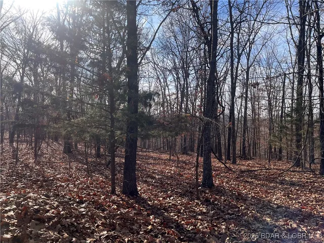 $84,500 | 2-3 South Buck Creek Road, Gravois Mills, MO 65037