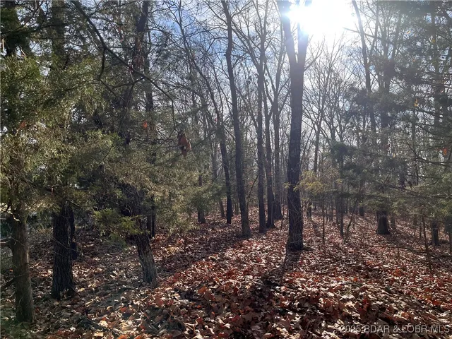 $84,500 | 2-3 South Buck Creek Road, Gravois Mills, MO 65037