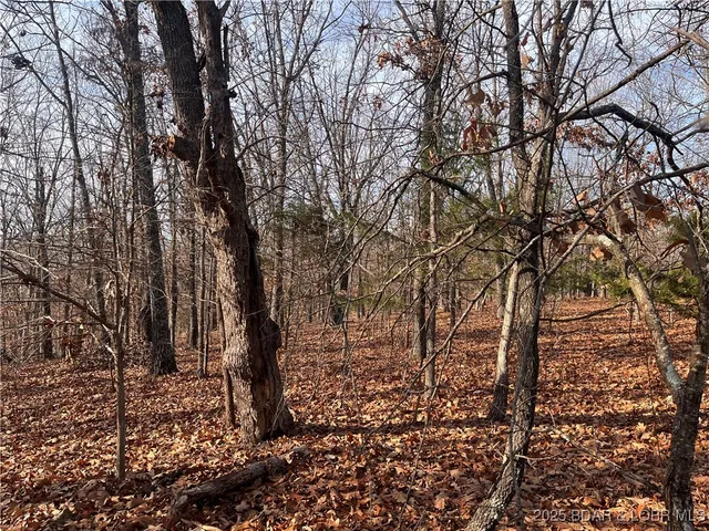 $84,500 | 2-3 South Buck Creek Road, Gravois Mills, MO 65037