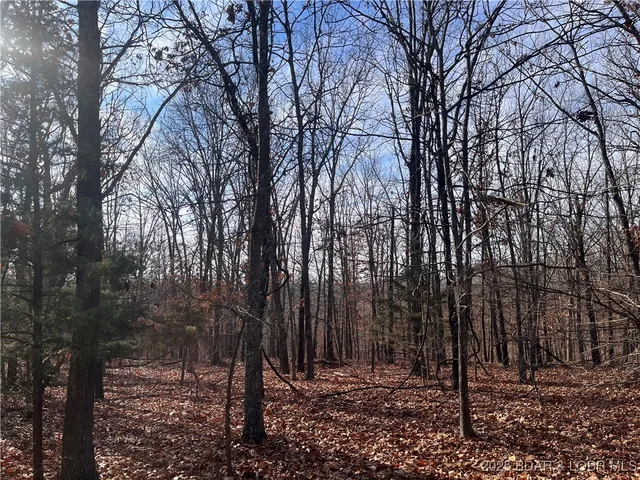 $84,500 | 2-3 South Buck Creek Road, Gravois Mills, MO 65037